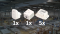 IQAROS Small - Industrial